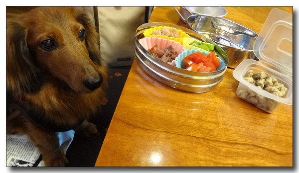 20130720174508.jpg