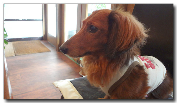 20130721005232.jpg
