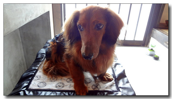 20130721064513.jpg