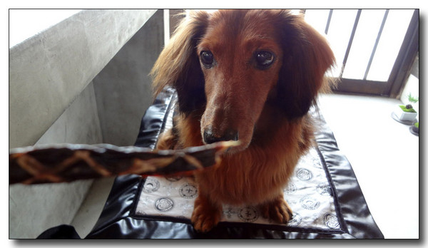 20130721064515.jpg