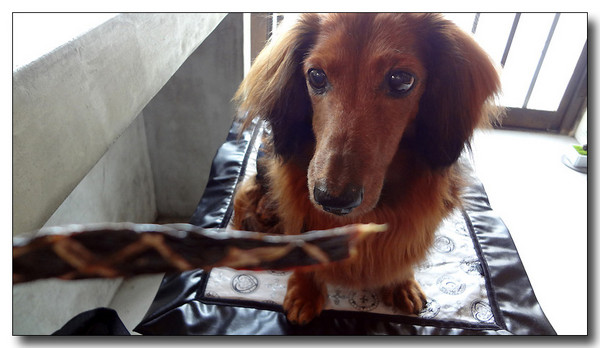 20130721064516.jpg