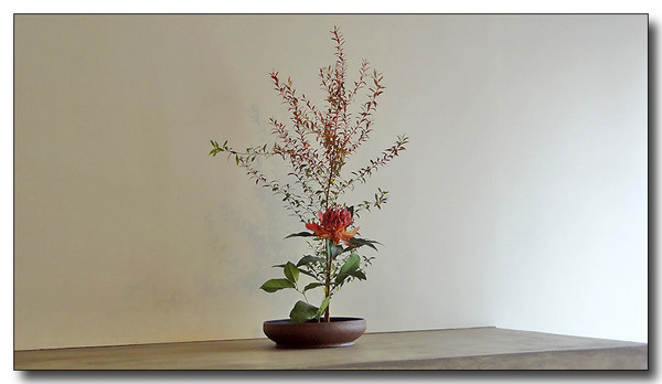 20130721064620.JPG
