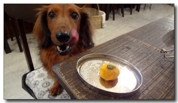 20130721074631.jpg