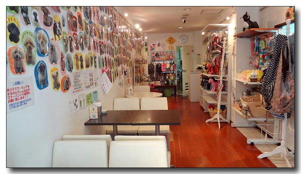 20130721082229.JPG