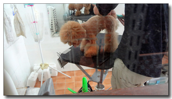 20130721082231.JPG