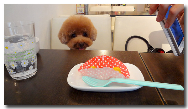 20130721082307.JPG