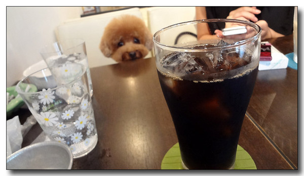 20130721082326.JPG