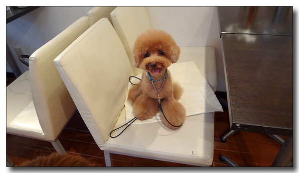 20130721082327.JPG