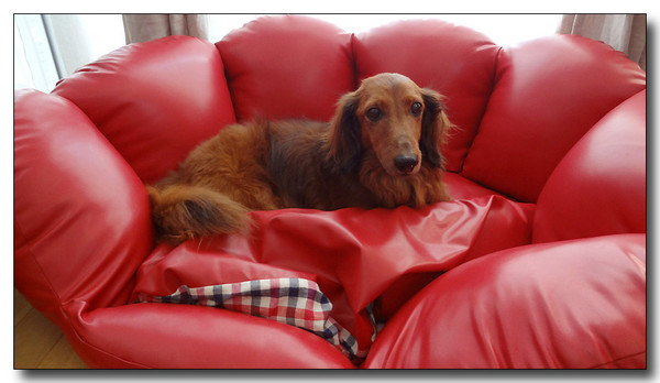 20130721085134.jpg