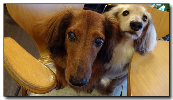 20130721100835.jpg