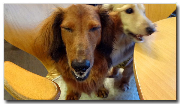 20130721100837.jpg