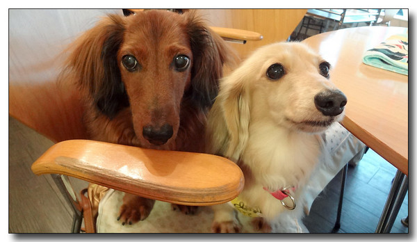 20130721100919.jpg