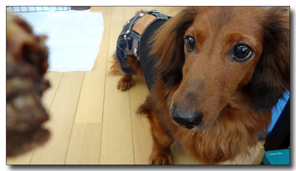 20130721130940.jpg