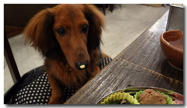 20130721170636.jpg