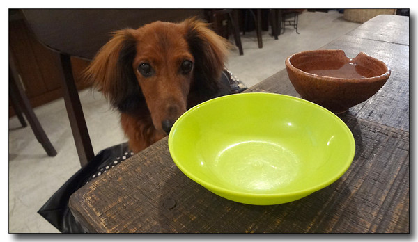 20130721170804.jpg