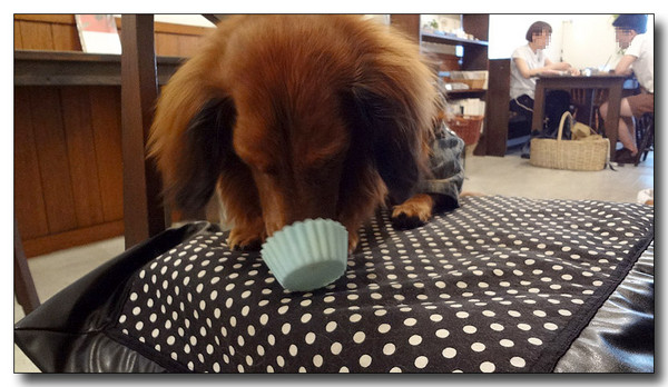 20130721170807.jpg