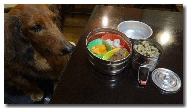 20130211234446.jpg