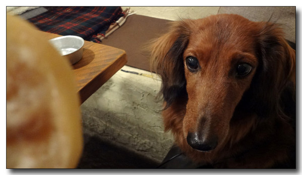 20130211235911.jpg