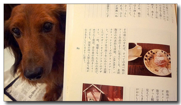 20130212005549.JPG