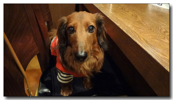 20130212202459.JPG
