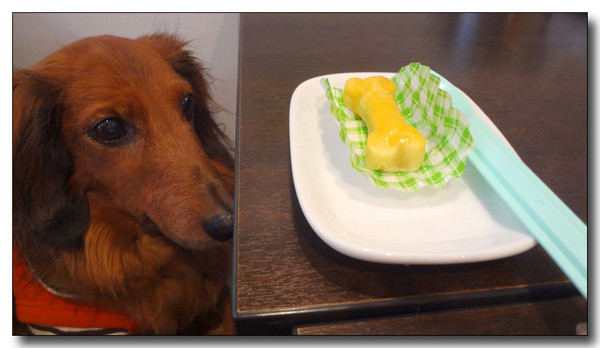 20130213222247.JPG