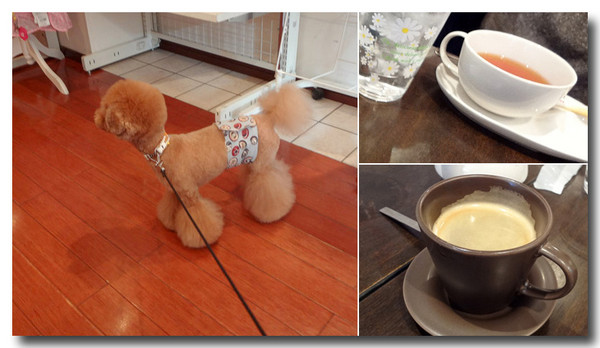 20130213222249.jpg