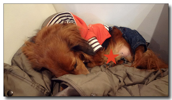 20130213222251.JPG