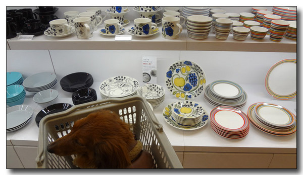 20130214103946.jpg