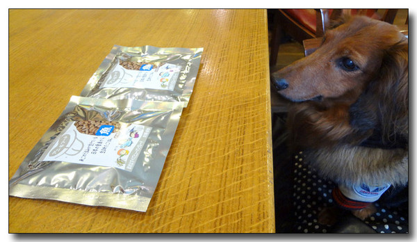 20130218011805.jpg