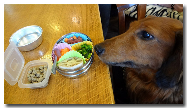 20130218011807.jpg
