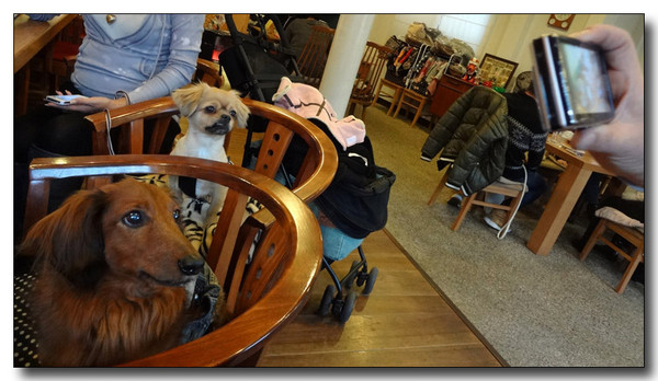 20130218011812.jpg