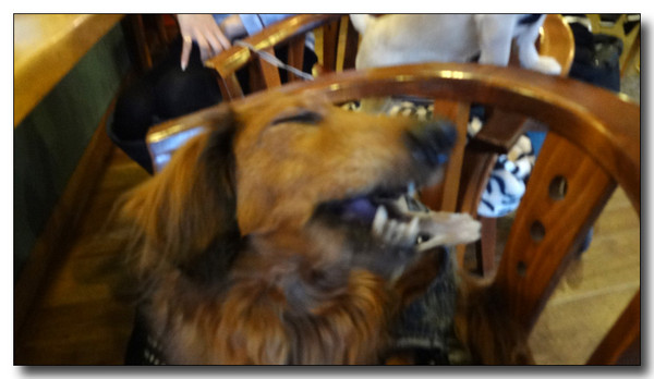 20130218011813.jpg