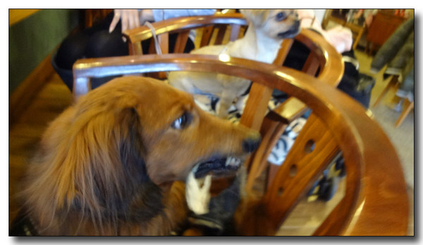 20130218011814.jpg