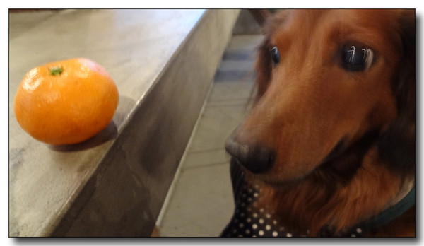 20130218024841.jpg