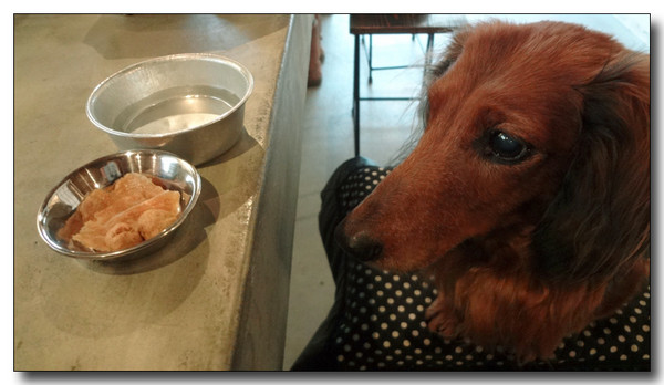 20130218024845.jpg