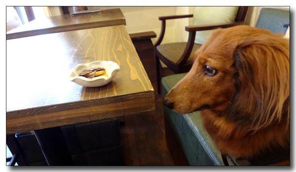 20130218132048.jpg