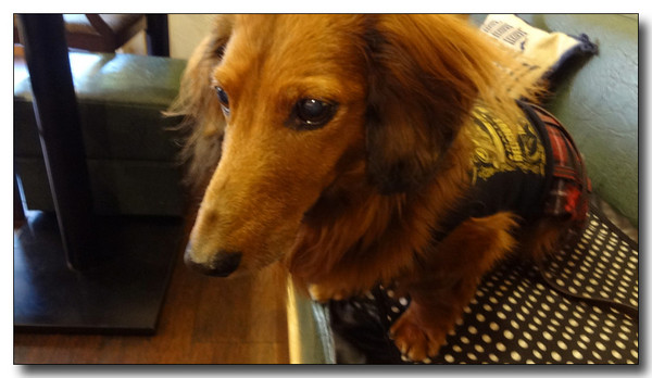 20130218132054.jpg