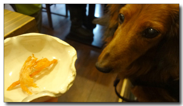 20130218132055.jpg