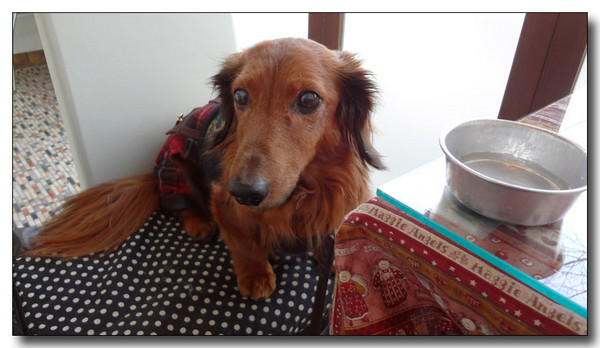 20130218132056.jpg