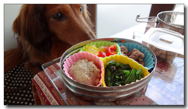 20130218132058.jpg