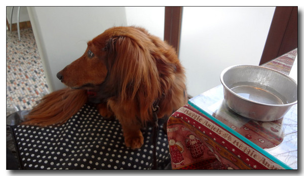 20130218132059.jpg