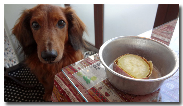 20130218132103.jpg