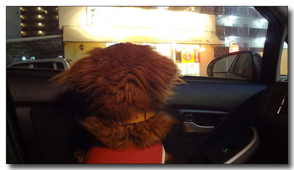 20130218221131.jpg
