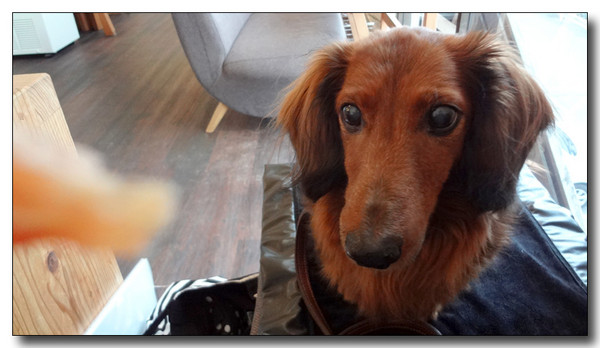 20130220062623.JPG