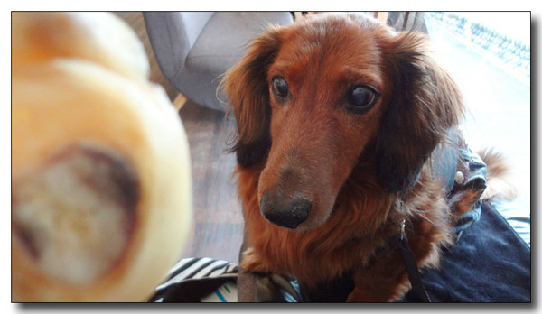 20130220062625.JPG