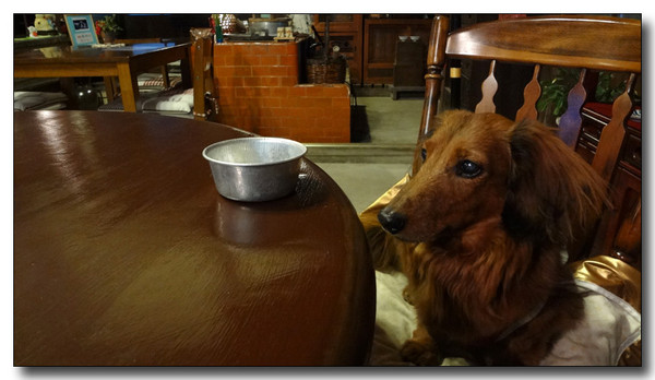 20130220123623.jpg