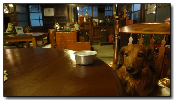 20130220123624.jpg