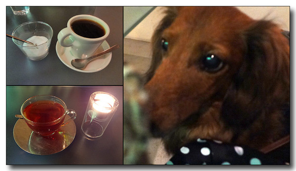 20130220162558.jpg
