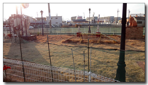 20130220203020.JPG