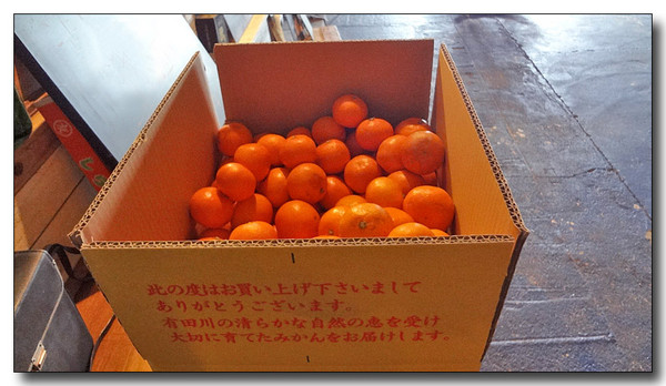20130220220709.JPG